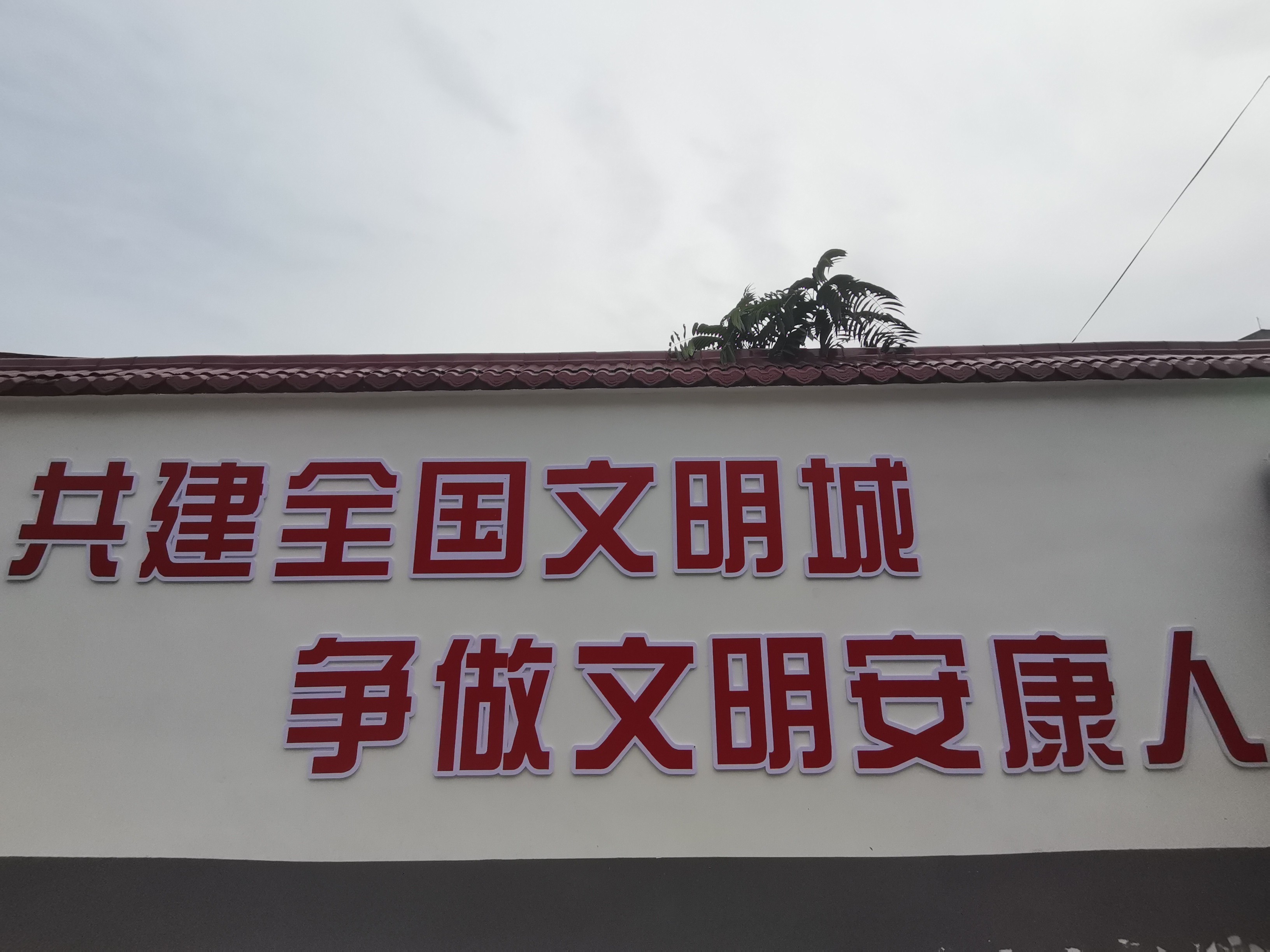 1664084711076088177.jpg