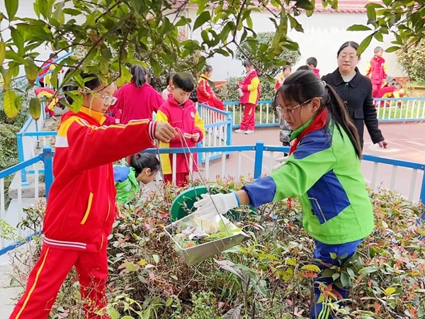 教育资讯汉滨区学校幼儿园精心组织植树节植绿护绿主题活动